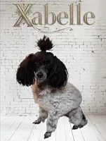 processed/bdeb69b3-1eb3-40d6-8283-34e0ccc954ab/facility/c84e06fc-c2bc-4a00-a4d6-c5eb994b7f0c