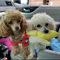 processed/bdeb69b3-1eb3-40d6-8283-34e0ccc954ab/facility/d54218af-b6e9-4380-a9af-d23e8ddd6527