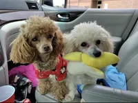 processed/bdeb69b3-1eb3-40d6-8283-34e0ccc954ab/facility/d54218af-b6e9-4380-a9af-d23e8ddd6527