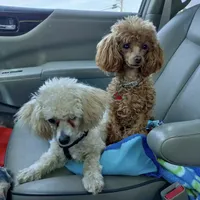 processed/bdeb69b3-1eb3-40d6-8283-34e0ccc954ab/facility/f55451e3-f404-4647-9bd1-6aa6ca18d8fb