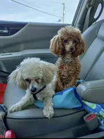 processed/bdeb69b3-1eb3-40d6-8283-34e0ccc954ab/facility/f55451e3-f404-4647-9bd1-6aa6ca18d8fb