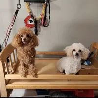 processed/bdeb69b3-1eb3-40d6-8283-34e0ccc954ab/facility/f7fa068b-9c72-4ce9-8cca-1c9656c0ad1c