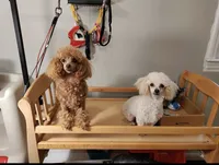 processed/bdeb69b3-1eb3-40d6-8283-34e0ccc954ab/facility/f7fa068b-9c72-4ce9-8cca-1c9656c0ad1c