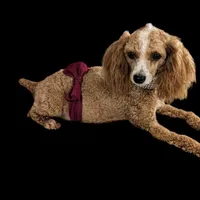 processed/bdeb69b3-1eb3-40d6-8283-34e0ccc954ab/facility/fb7c5086-88b7-43fa-8751-f5ebe3f8dfc2