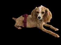 processed/bdeb69b3-1eb3-40d6-8283-34e0ccc954ab/facility/fb7c5086-88b7-43fa-8751-f5ebe3f8dfc2