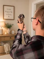 AKC Boaz, a male Poodle - Toy  for sale in Habersham, GA – 2 of 10