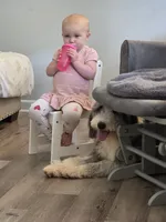 Mae&Ronan, a  Old English Sheepdog and Sheepadoodle for sale in Habersham, GA – 7 of 10