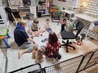 Mae, a female Sheepadoodle for sale in Habersham, GA – Photo 8 of 10