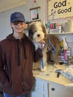 Mae, a female Sheepadoodle for sale in Habersham, GA – Photo 9 of 10