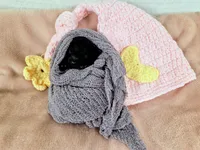 AKC Mercy, a female Poodle - Toy  for sale in Habersham, GA – 5 of 5