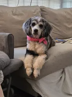 processed/bdeb69b3-1eb3-40d6-8283-34e0ccc954ab/listing/92577947-66da-45dd-b95a-9ee9828def4a/1d6a4bf5-56a2-471f-b30a-4189a82f6a45