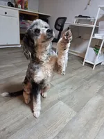 processed/bdeb69b3-1eb3-40d6-8283-34e0ccc954ab/listing/92577947-66da-45dd-b95a-9ee9828def4a/2faa6021-5c50-4b9a-bcdb-04832eead875