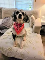 processed/bdeb69b3-1eb3-40d6-8283-34e0ccc954ab/listing/92577947-66da-45dd-b95a-9ee9828def4a/67fe6e16-29d9-4266-920c-07bf969cbd0e