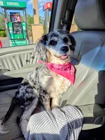 processed/bdeb69b3-1eb3-40d6-8283-34e0ccc954ab/listing/92577947-66da-45dd-b95a-9ee9828def4a/a07f5fbf-b016-459c-ad30-73bc36e4b415