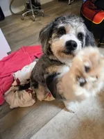 processed/bdeb69b3-1eb3-40d6-8283-34e0ccc954ab/listing/92577947-66da-45dd-b95a-9ee9828def4a/a37ac921-e032-4018-a00d-06d5eefafe9b