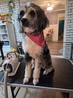 processed/bdeb69b3-1eb3-40d6-8283-34e0ccc954ab/listing/92577947-66da-45dd-b95a-9ee9828def4a/cd6f7d00-0ed9-46da-97a2-bd4810f4c121