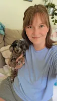 AKC Boaz, a male Poodle - Toy  for sale in Habersham, GA – 2 of 6