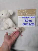 Winter Lamb, a male Sheepadoodle for sale in Cornelia, GA – 1 of 5