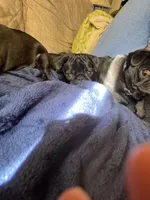 processed/bdeed456-9655-4eb9-aab1-4290ee55162c/facility/45a28faa-f0a8-46d0-81f1-30960f5ba510