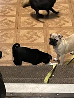 processed/bdeed456-9655-4eb9-aab1-4290ee55162c/facility/4aa6c6d8-9f25-4b44-a182-11e020238972