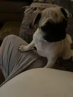 processed/bdeed456-9655-4eb9-aab1-4290ee55162c/facility/4c99359c-4e1d-4458-8e91-16c6c571a5a2