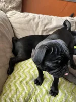 processed/bdeed456-9655-4eb9-aab1-4290ee55162c/facility/c42dcb4a-448a-4f75-95ce-766a612d076a