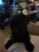 processed/bdeed456-9655-4eb9-aab1-4290ee55162c/listing/86f49902-4f31-4970-9aeb-2e8d21ebc223/98a11377-40e1-48a4-a58e-f10719229625