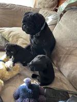 processed/bdeed456-9655-4eb9-aab1-4290ee55162c/listing/86f49902-4f31-4970-9aeb-2e8d21ebc223/ba291eaf-2037-4fa5-a0c9-5291f9515291