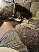 processed/bdeed456-9655-4eb9-aab1-4290ee55162c/listing/955e4a25-e149-4321-b55c-fe271d9816d0/0350c8b1-59ea-42fb-9df8-fa148786c400