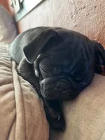 processed/bdeed456-9655-4eb9-aab1-4290ee55162c/listing/955e4a25-e149-4321-b55c-fe271d9816d0/2197781f-4545-4795-b902-f20b21f54693