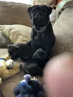 processed/bdeed456-9655-4eb9-aab1-4290ee55162c/listing/955e4a25-e149-4321-b55c-fe271d9816d0/8446b869-eacf-4047-b819-34a5b6e40991