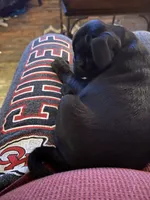 processed/bdeed456-9655-4eb9-aab1-4290ee55162c/listing/955e4a25-e149-4321-b55c-fe271d9816d0/8f7e1e67-245d-4972-a999-fd91a76e6857