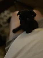 processed/bdeed456-9655-4eb9-aab1-4290ee55162c/listing/955e4a25-e149-4321-b55c-fe271d9816d0/b79b63ee-0840-478c-a5a6-622126af0fdf