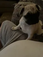 processed/bdeed456-9655-4eb9-aab1-4290ee55162c/listing/fdb38682-7a1c-4f4b-bfb8-c91096cc5ed5/41623a55-eac6-4148-afb3-665a8216812a