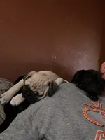 processed/bdeed456-9655-4eb9-aab1-4290ee55162c/listing/fdb38682-7a1c-4f4b-bfb8-c91096cc5ed5/53f2f532-cf07-472e-84b8-88bcb39feb24