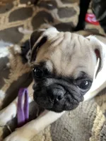 processed/bdeed456-9655-4eb9-aab1-4290ee55162c/listing/fdb38682-7a1c-4f4b-bfb8-c91096cc5ed5/b8f7858d-2a71-4f4a-b3d3-8873701718ea