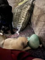 processed/bdeed456-9655-4eb9-aab1-4290ee55162c/listing/fdb38682-7a1c-4f4b-bfb8-c91096cc5ed5/f14c9739-a463-499f-998e-db8e554d4417