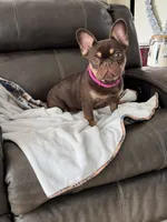 processed/be005f12-410e-419b-bd01-0a9026b84405/listing/23a58e2a-a4a0-4ebe-aa45-2a92776ebbba/7f37f044-414e-4d3b-8e48-9597c235eb9f