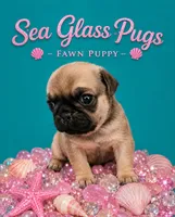 Dream , a female Pug for sale in Jacksonville, NC – 1 of 2
