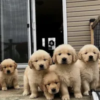 processed/be041148-cf2b-4756-b04b-f7f0e9c5f2d9/facility/02159718-24cf-4a4f-8c5e-29f9e35eec96