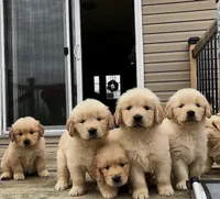 processed/be041148-cf2b-4756-b04b-f7f0e9c5f2d9/facility/02159718-24cf-4a4f-8c5e-29f9e35eec96