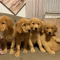 processed/be041148-cf2b-4756-b04b-f7f0e9c5f2d9/facility/04a3d18c-b3fc-45b1-8692-59a369b19693