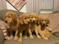 processed/be041148-cf2b-4756-b04b-f7f0e9c5f2d9/facility/04a3d18c-b3fc-45b1-8692-59a369b19693