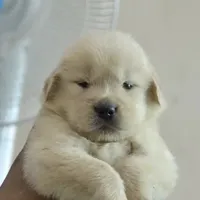 processed/be041148-cf2b-4756-b04b-f7f0e9c5f2d9/facility/1287c2b8-70f5-45bf-83ee-2d71977379fd