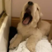 processed/be041148-cf2b-4756-b04b-f7f0e9c5f2d9/facility/16faeaa5-2854-47ce-a8b5-73c633a87e54