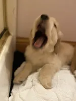 processed/be041148-cf2b-4756-b04b-f7f0e9c5f2d9/facility/16faeaa5-2854-47ce-a8b5-73c633a87e54