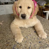 processed/be041148-cf2b-4756-b04b-f7f0e9c5f2d9/facility/33611b3c-06c0-4943-86b9-c9a5e497e259