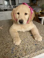 processed/be041148-cf2b-4756-b04b-f7f0e9c5f2d9/facility/33611b3c-06c0-4943-86b9-c9a5e497e259