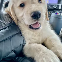 processed/be041148-cf2b-4756-b04b-f7f0e9c5f2d9/facility/5514e251-13d0-44ae-9f4d-08beb36d286f