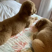 processed/be041148-cf2b-4756-b04b-f7f0e9c5f2d9/facility/644de399-b849-4115-851c-5e6f0e850706